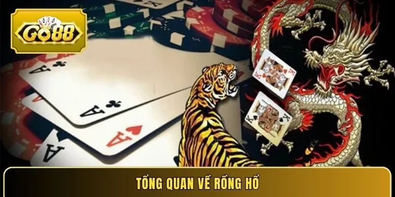 Tổng quan về Rồng Hổ